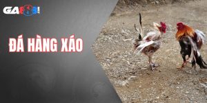 Đá hàng xáo là gì